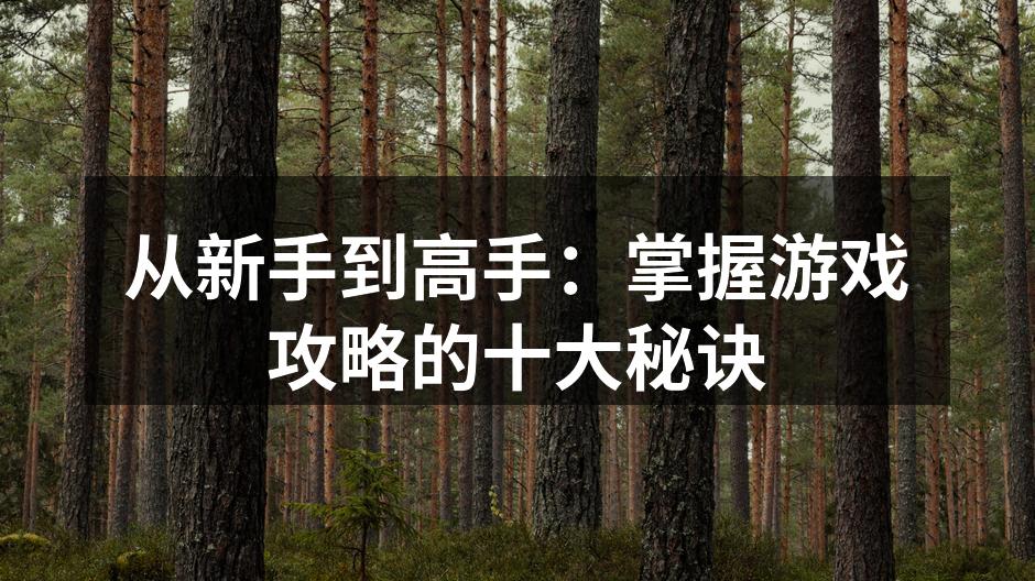 游戏攻略书籍